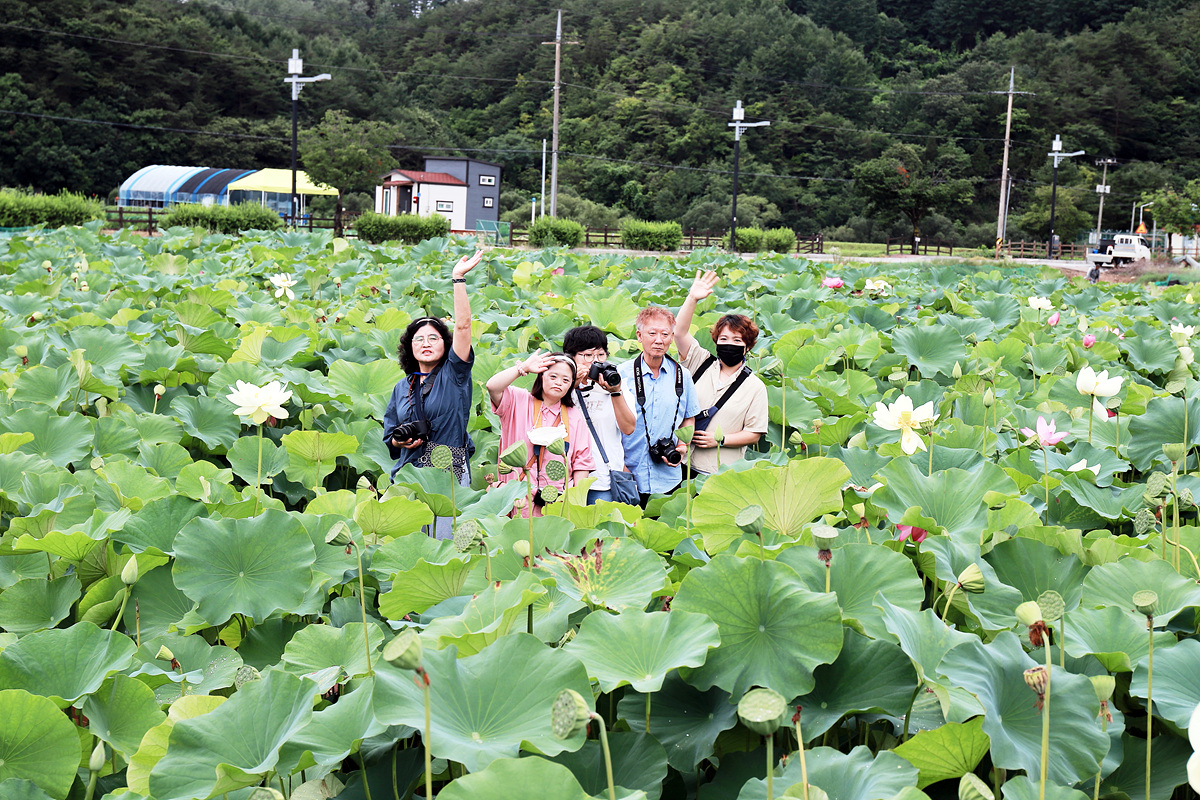 원본사이즈 보기 클릭